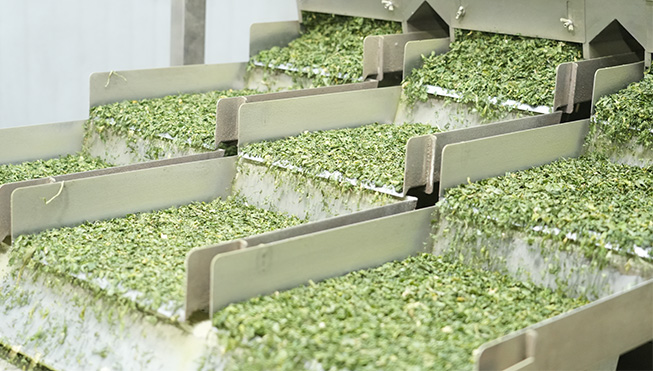Xinghua Vegetable Foods Co.、Ltd。